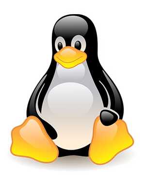 Pico Linux